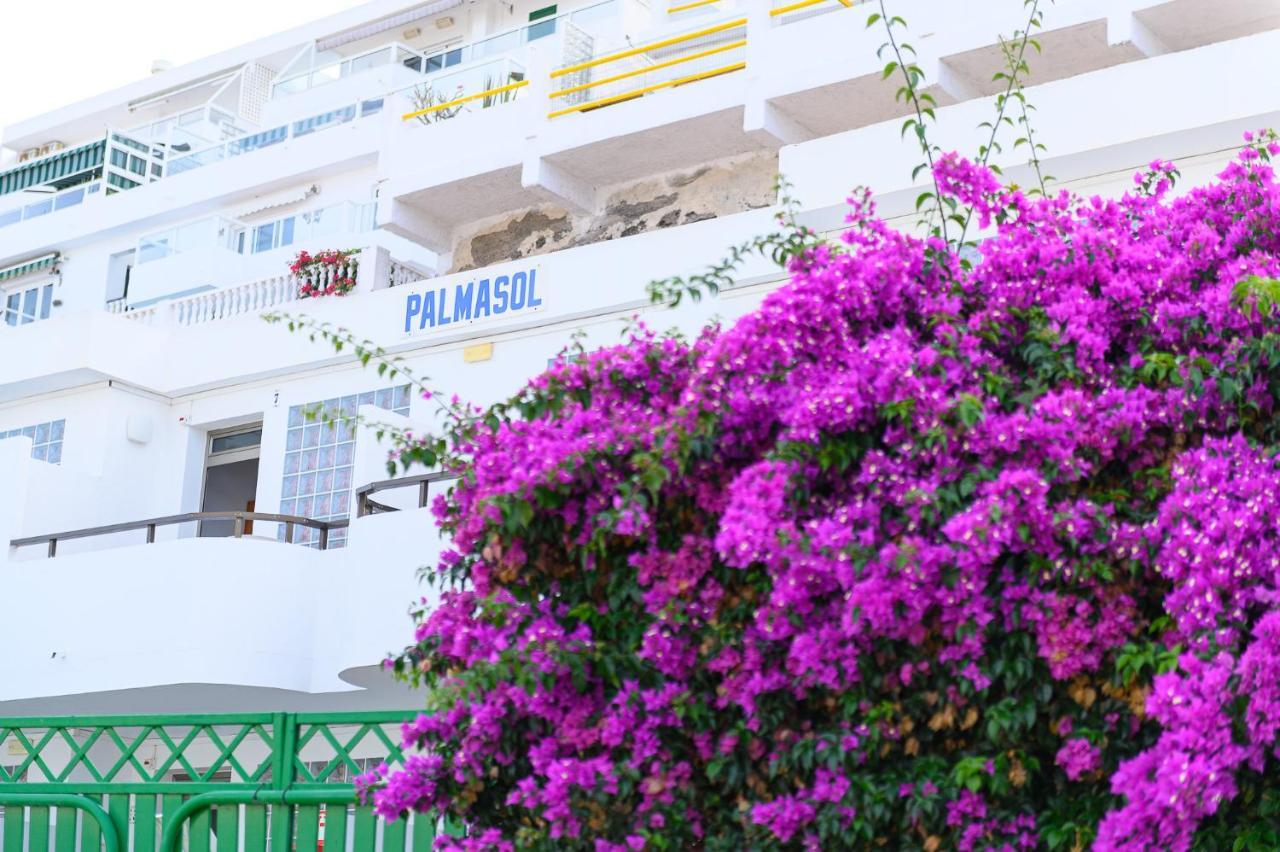 Palmasol Apartamentos Puerto Rico  Luaran gambar
